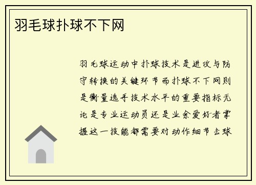 羽毛球扑球不下网